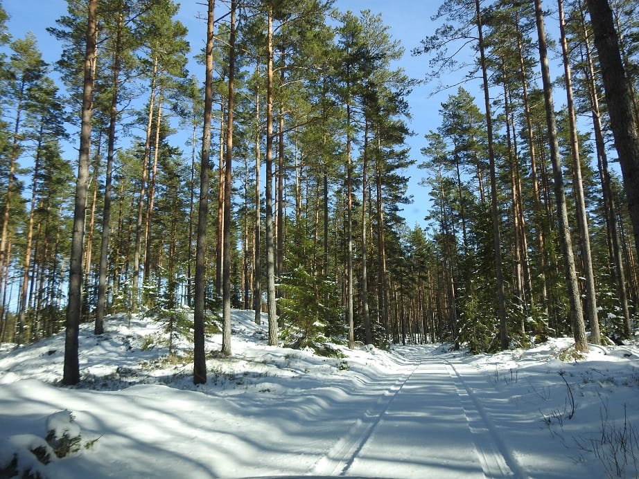 DSCN5812