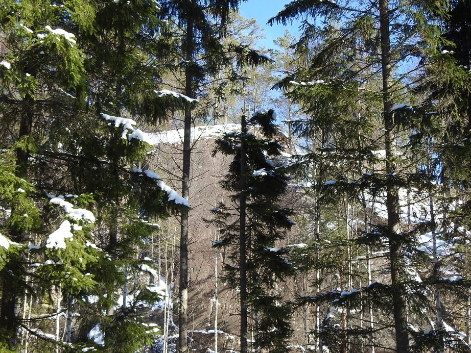 DSCN5858