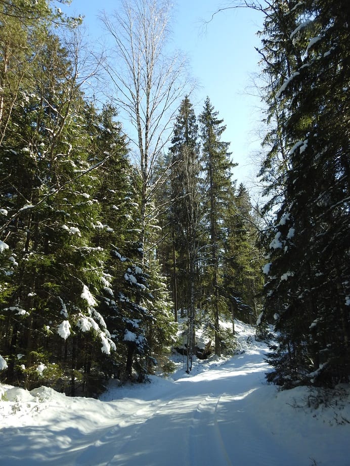 DSCN5865