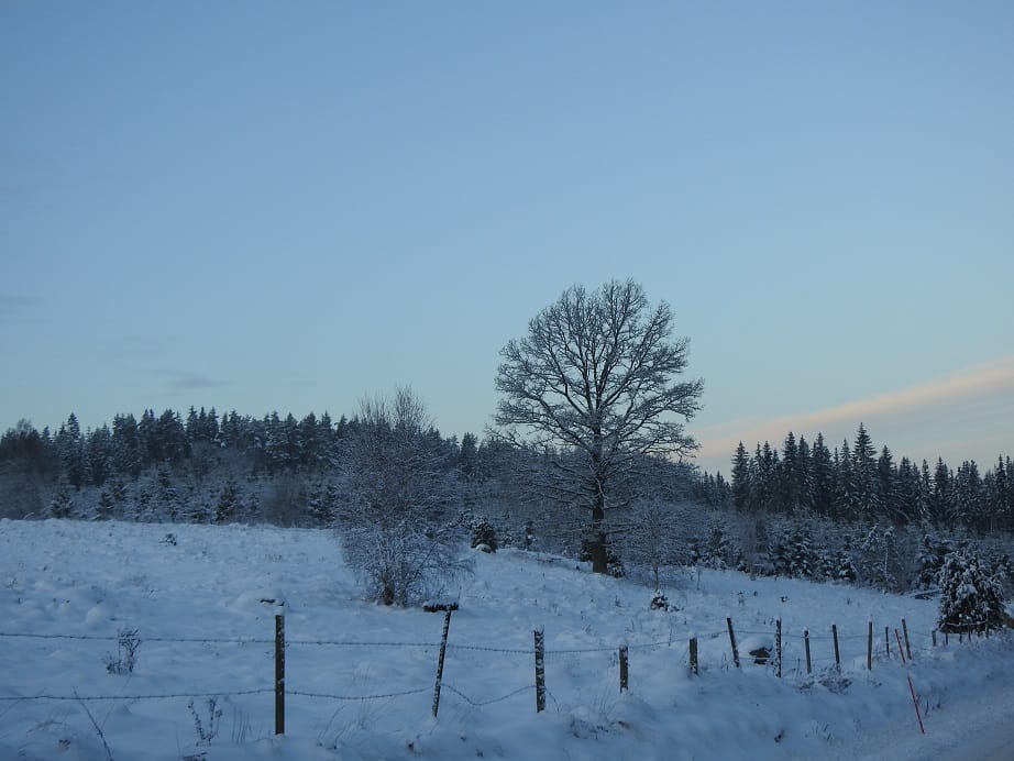 DSCN0188